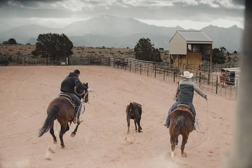 Harmony Horse Training Utah