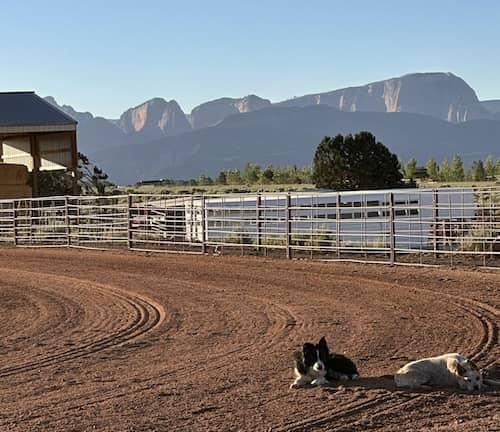 Harmony Horse Training Utah