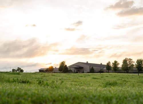 Hartman Cattle Company NE