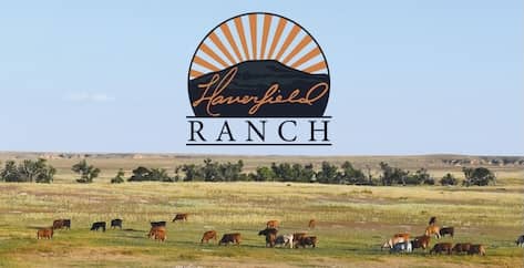 Haverfield Ranch KS