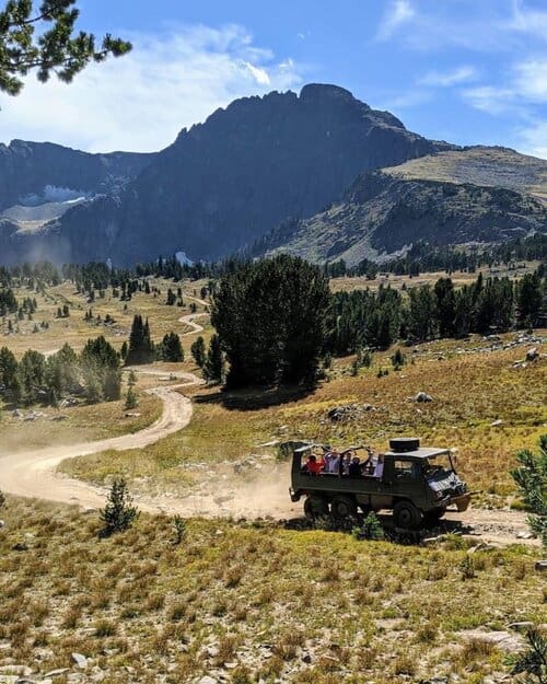 Hawley Mountain Guest Ranch - Pinzgauer