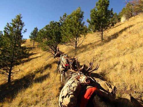 Hells Canyon Outfitters - Idaho