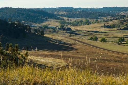 Sweetgrass at Thunderbasin - Wyoming