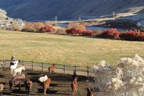 Flying Resort Ranches ID