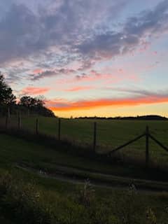 sunet