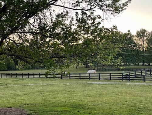 madison ga farm / ranch