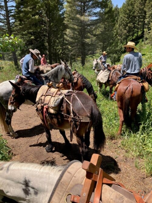 Snake River Sporting Club WY