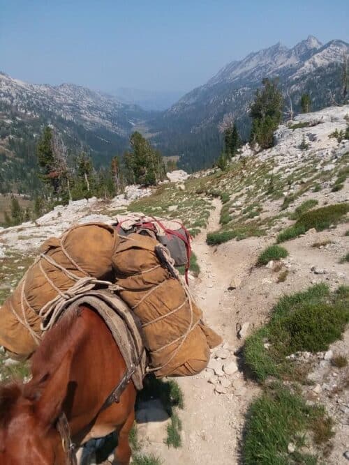 WildCountry Packing OR