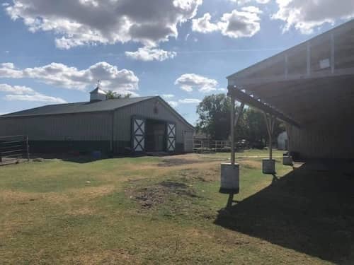 Infinity C Ranch TX