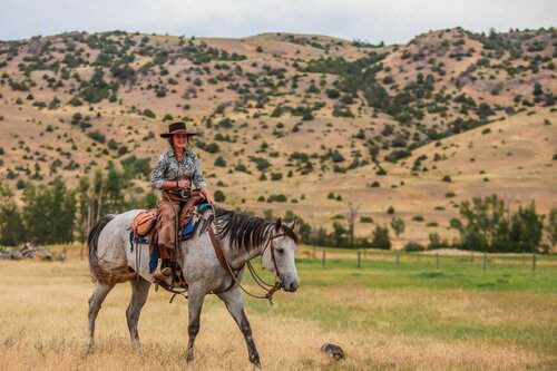Experienced Wrangler needed for HorsemanshipOriented Guest Ranch in Montana