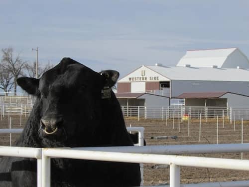 Krebs Ranch Nebraska