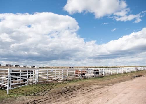 Krebs Ranch Nebraska