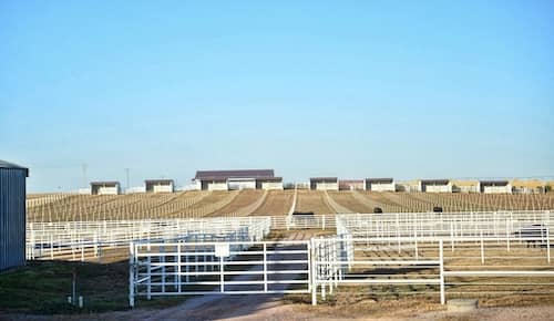 Krebs Ranch Nebraska