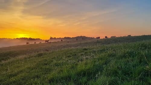Kentucky cattle ranch