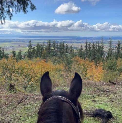 Lang's Horseback Riding WA