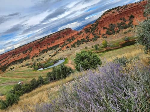 Lazy T Ranch - Wyoming