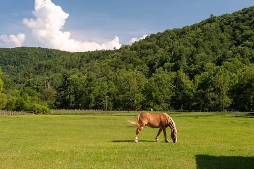 Leatherwood Mountains Resort NC