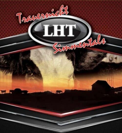 Trauernicht Simmentals Nebraska