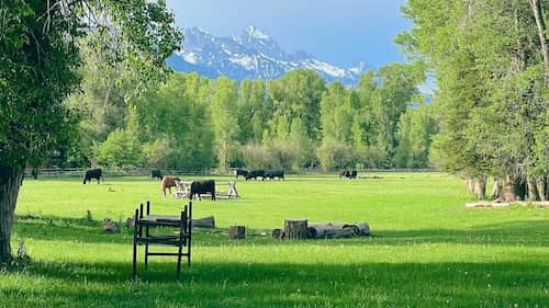 Linn Ranch - Jackson Hole Wyo