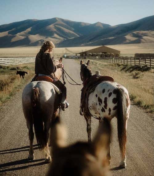 Little Ridge Farms MT