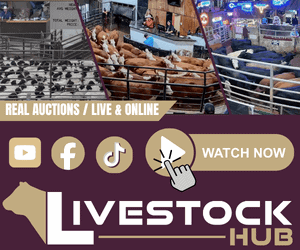 Livestock Hub