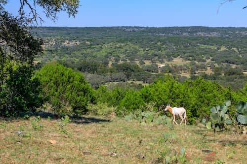 Llano TX Ranch