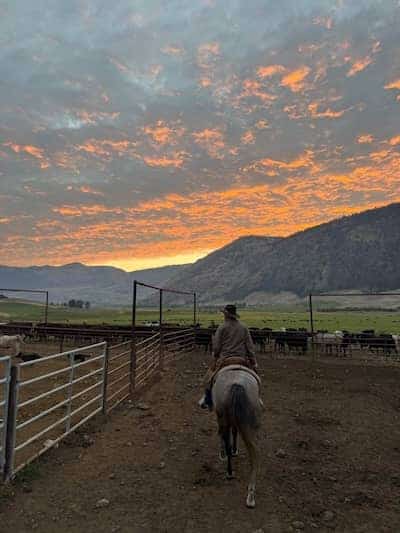 Loomis WA Cattle Ranch