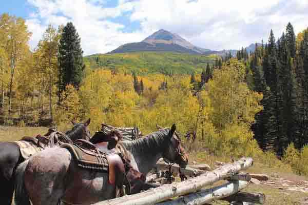 Wranglers needed at Colorado Dude Ranch for 2023 Summer Season -  