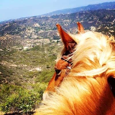 Malibu Horseback riding