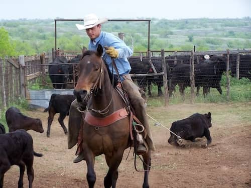 Mill Iron Ranches - Texas