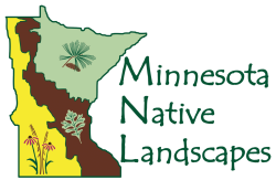 Minnesota Native Landscapes