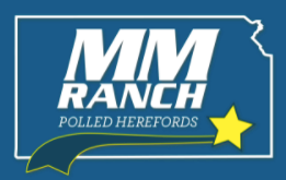 MM Ranch Polled Herefords - Kansas