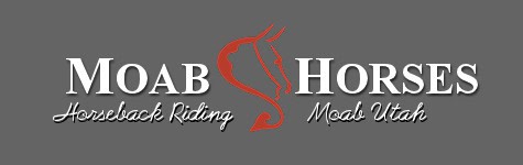 Moab Horses