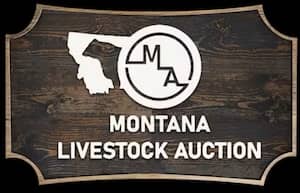 MT Livestock Auction