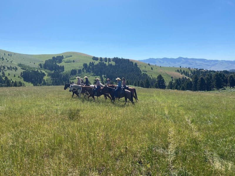 Mountain Sky Guest Ranch Wranglers
