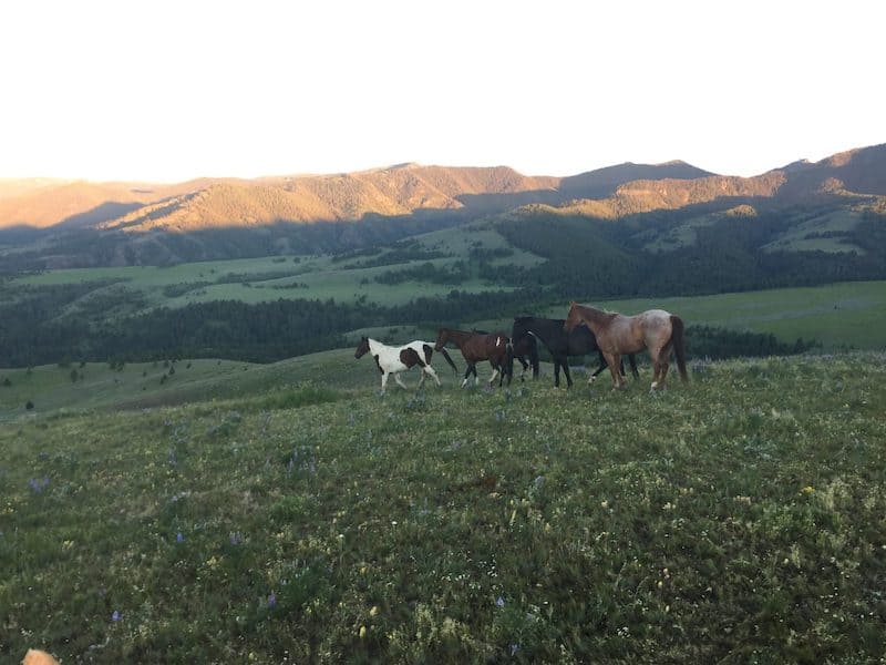 Mountain Sky Guest Ranch Wranglers