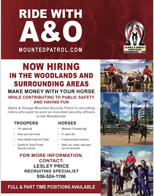 Mounted Patrol Security