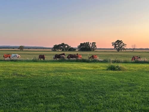 Nebraska Sandhills Ranch