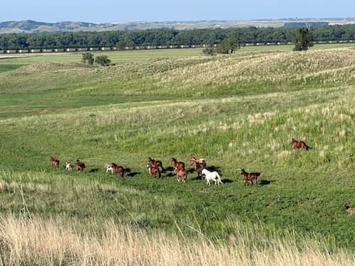Nebraska Sandhills Ranch