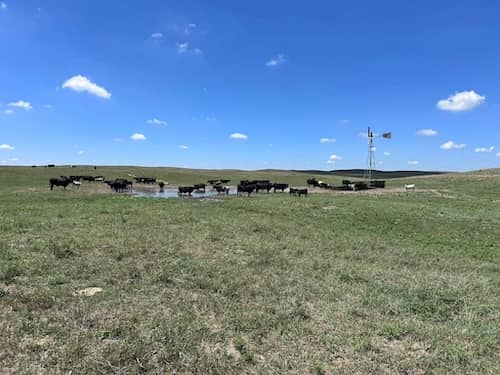 Nebraska Sandhills Ranch