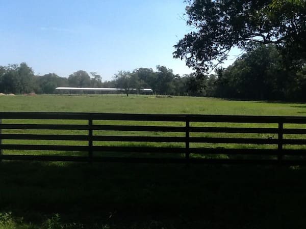 Olde Oaks Farm - Texas