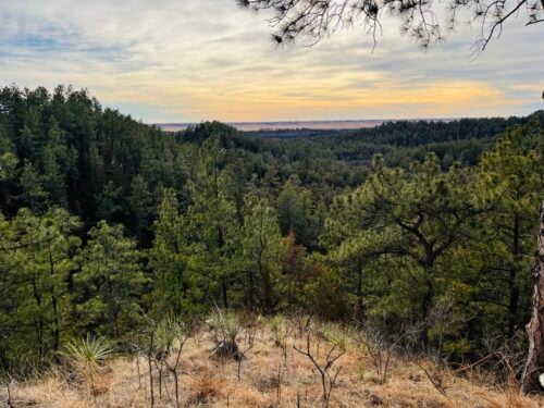 Heartland Elk Guest Ranch NE