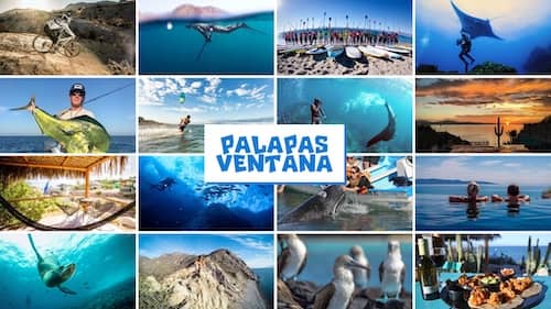 Palapas Ventana MEX