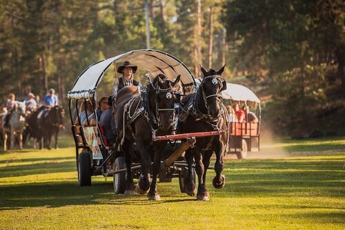 Palmer Gulch Stables Chuckwagon - SD