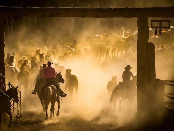 Paradise Guest Ranch - Wranglers