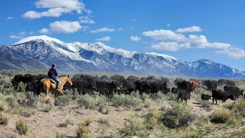 Parker Ranch Utah / NV