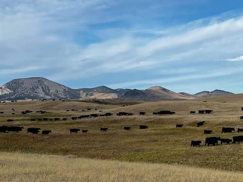 parsell ranch mt