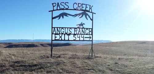 Pass Creek Angus Ranch - MT