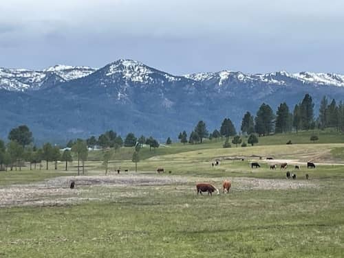 Idaho ranch