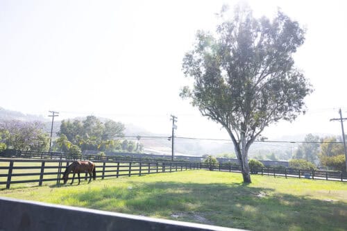 High Performance Barn in Southern California